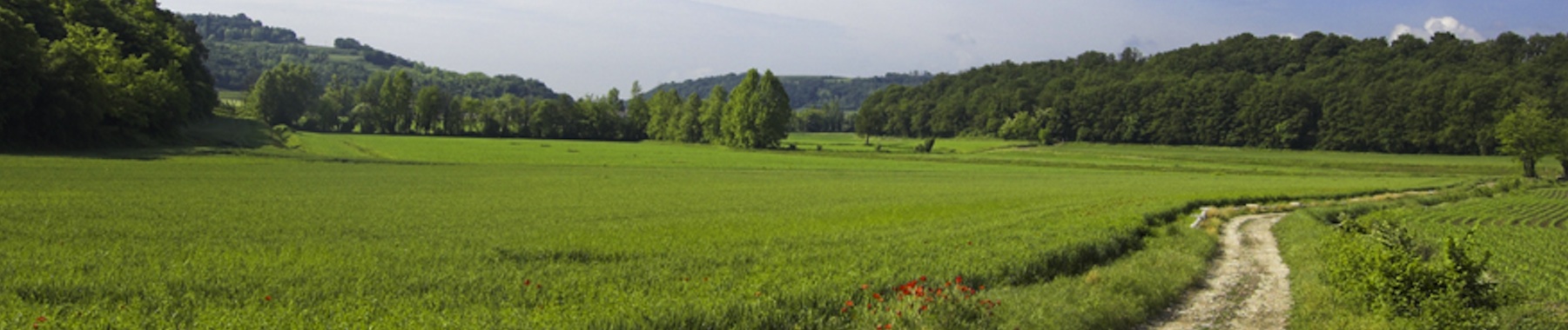 erboristeria-lanuzia-header-lessinia2