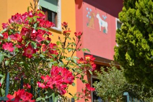 La Casa di Lanuzia e la Lessinia. Un incontro magico.